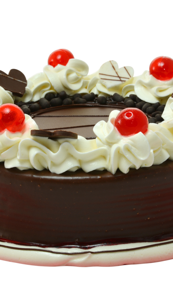 Торт в шоколаде украшен сливками на белом фоне