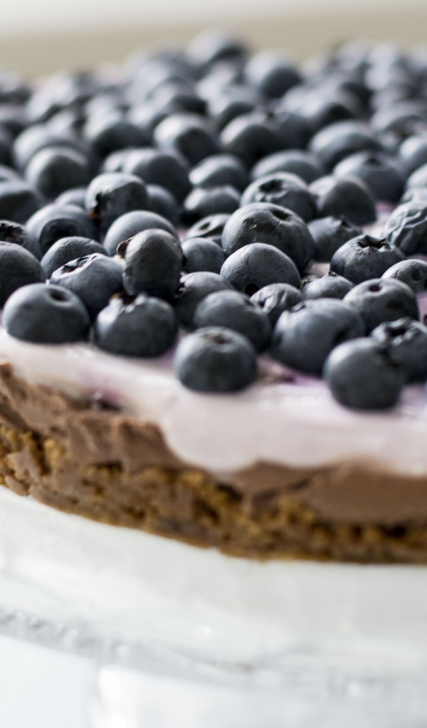 Торт с кремом и ягодами черники 