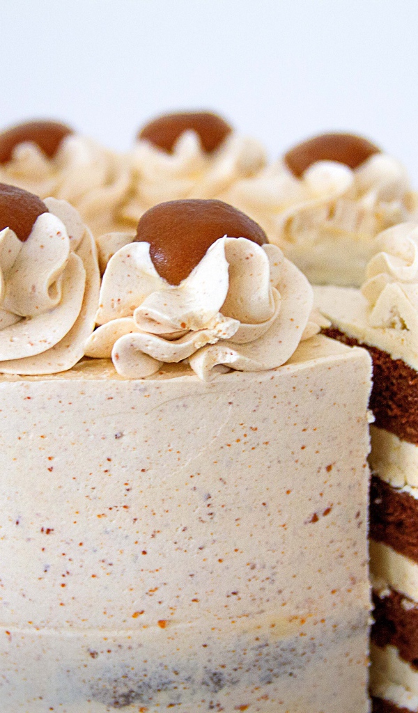 Торт с белым кремом и кофейными коржами 