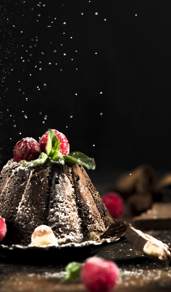 Шоколадный десерт на столе с ягодами клюквы 