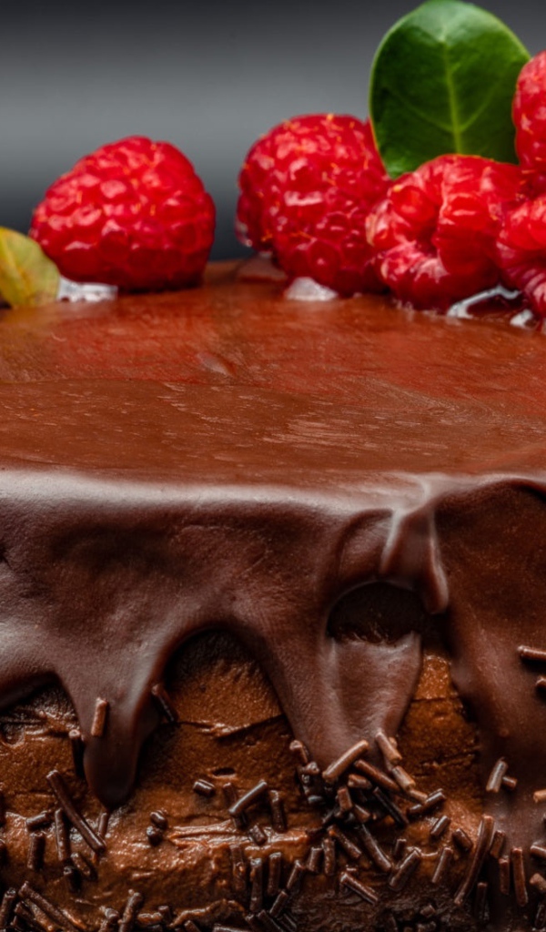 Пирог с кремом и шоколадом украшен малиной