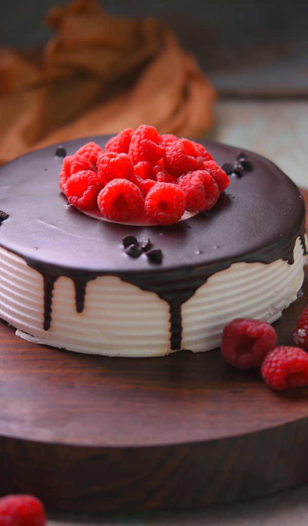 Вкусный торт с шоколадом и малиной на столе с цветами хризантемы 