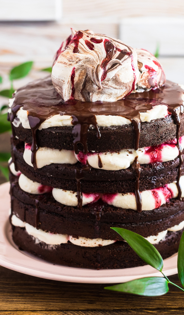 Вкусный шоколадный торт с кремом на столе 