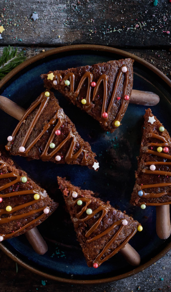 Вкусное шоколадное печенье с еловыми ветками и кофе на столе