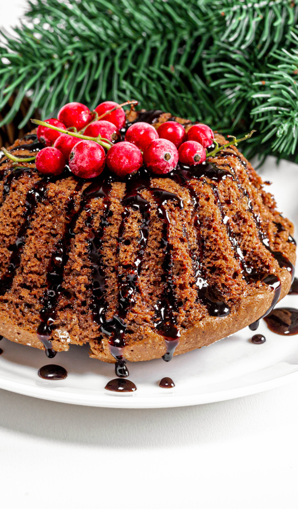 Вкусный кекс с шоколадом и красной смородиной на столе с еловой веткой и шишками