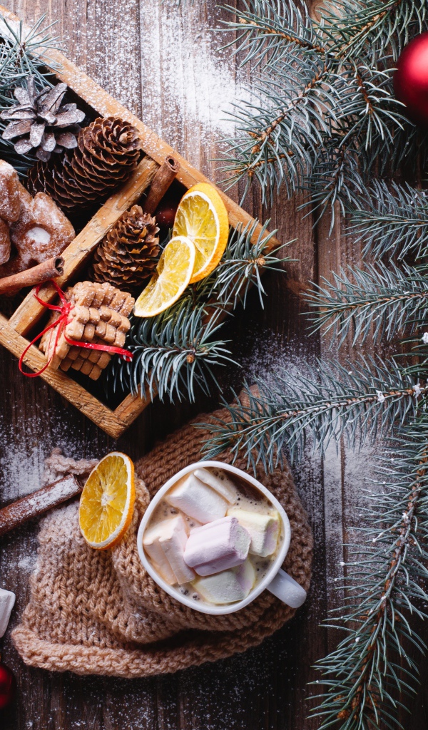 Зеленая еловая ветка на столе с печеньем и шишками