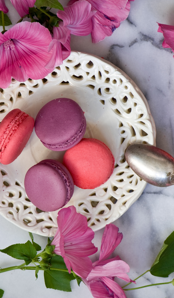 Десерт макарун с розовыми цветами мальвы