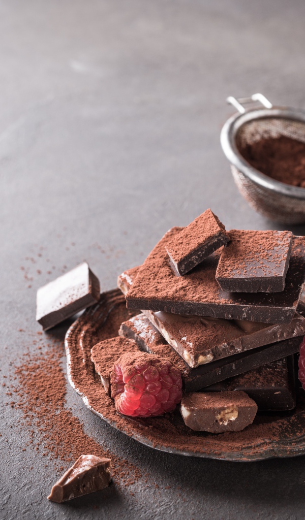 Кусочки шоколада посыпаны какая на тарелке с малиной