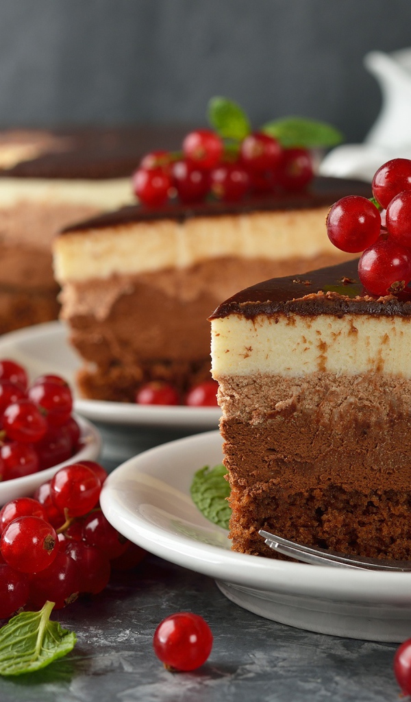 Кусок торта Три шоколада с ягодами красной смородины