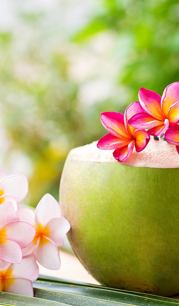 Коктейль в кокосе с цветами плюмерии 