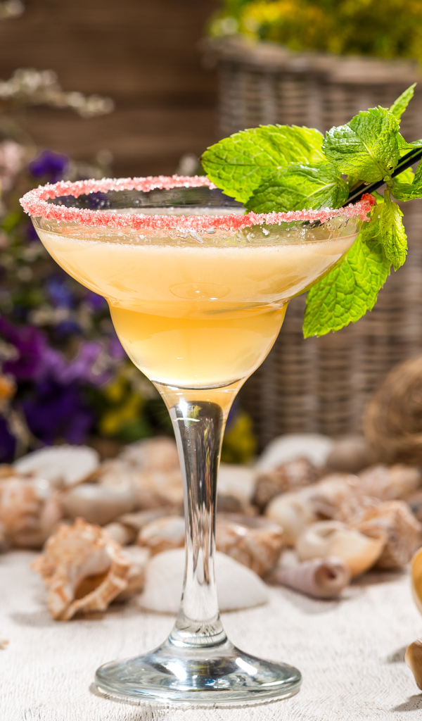 Коктейль с мятой в бокале на столе с ракушками 