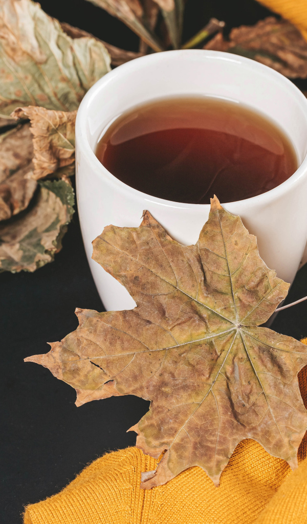 Чашка горячего чая на столе с сухими листьями