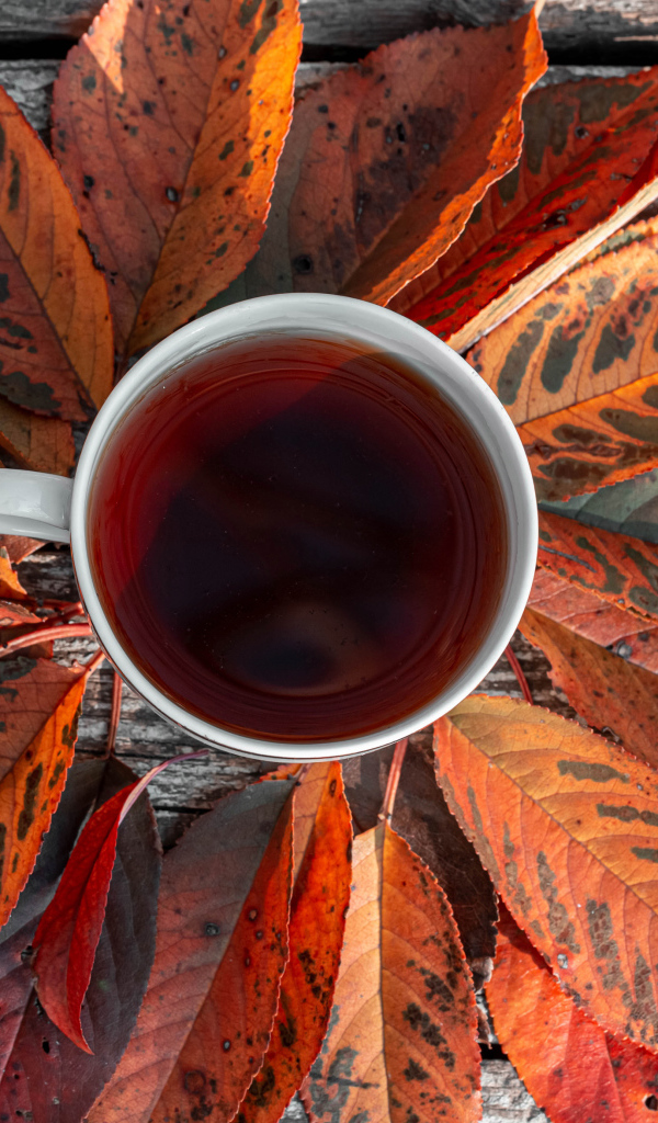 Чашка чая на столе с желтыми листьями