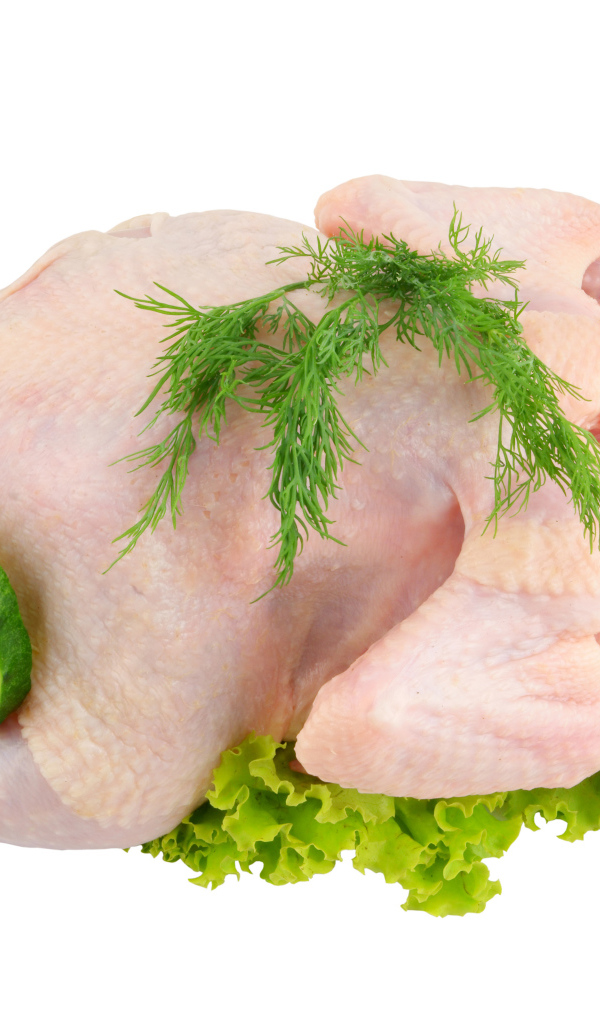 Сырая курица с помидорами, огурцами и листьями салата