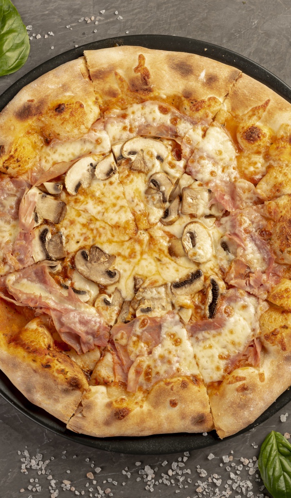 Румяная пицца с беконом и грибами 
