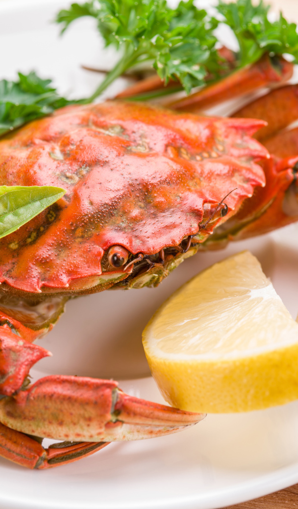 Cooked crab on a plate with lemon and herbs