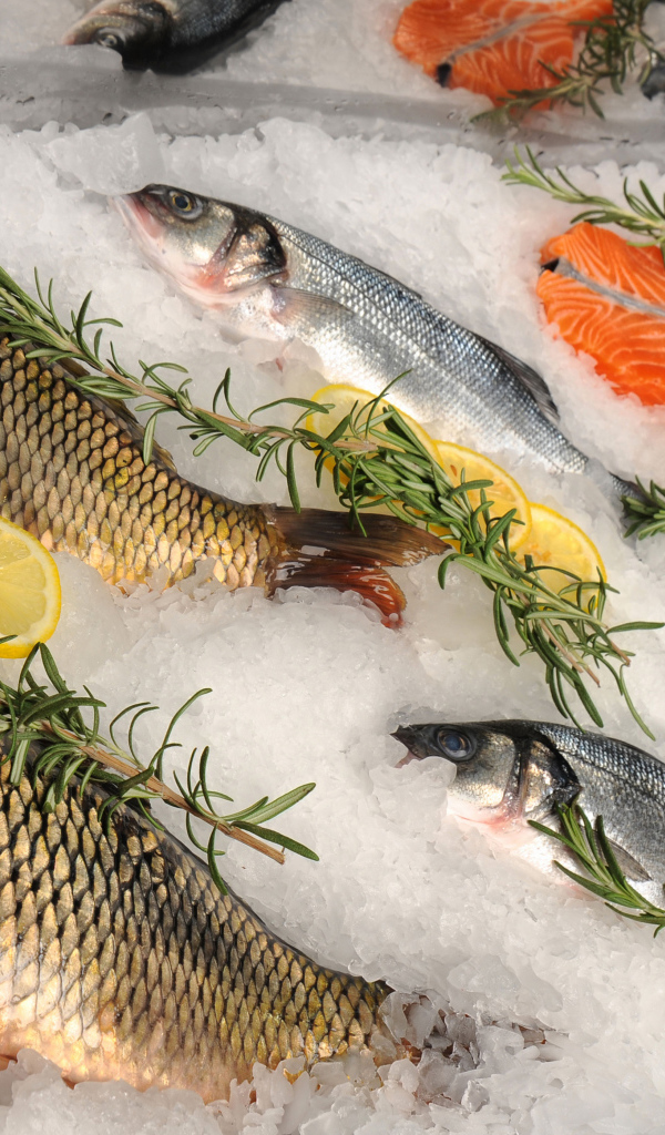 Свежая рыба в соли с лимоном и базиликом