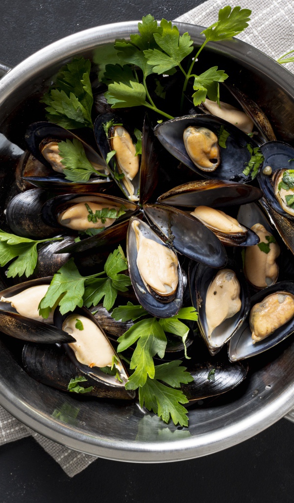 Fresh mussels in a saucepan with parsley