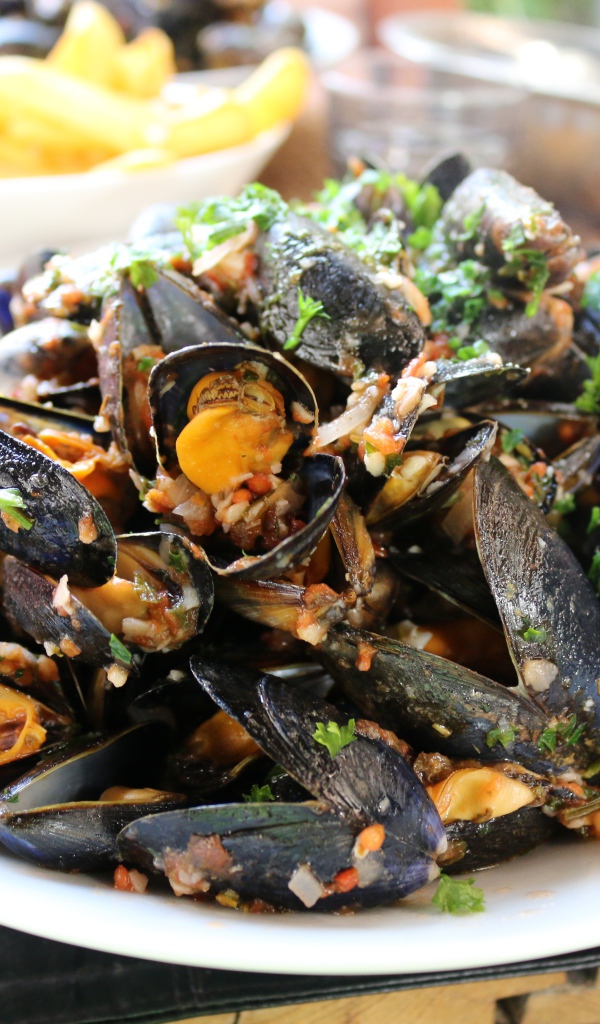 Мидии на  белой тарелке со специями 