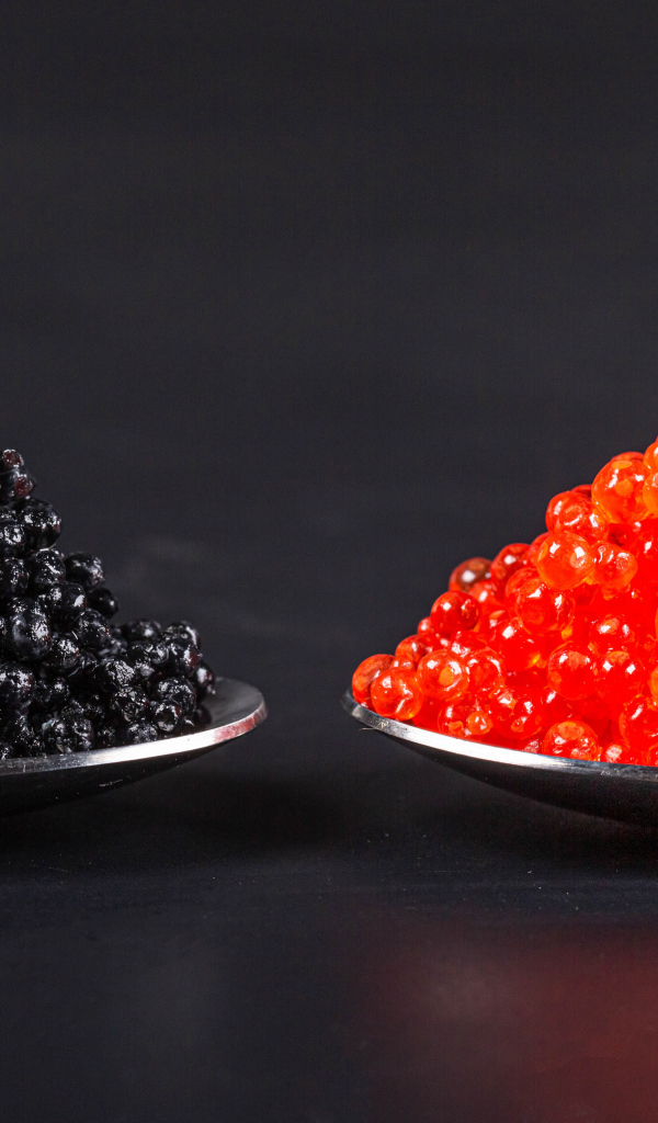 Красная и черная икра на ложках на сером фоне