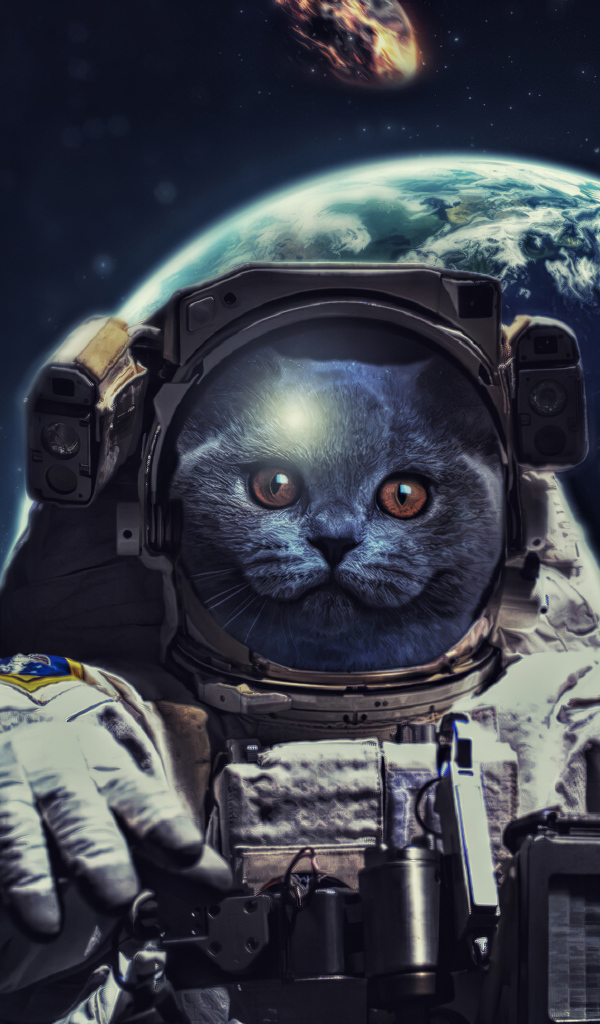 Кот в костюме космонавта в космосе 