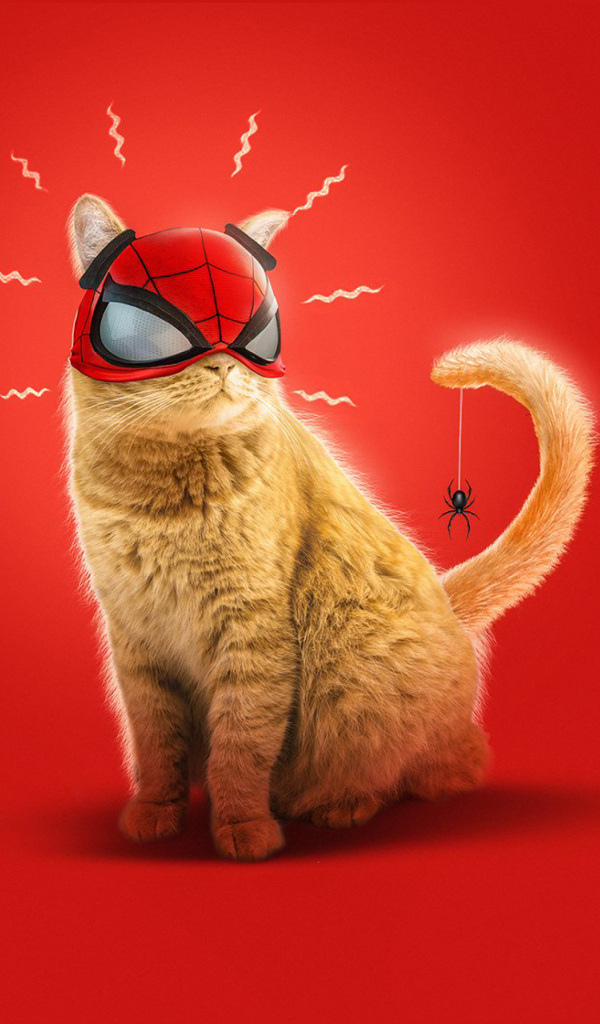 Ginger cat in a spiderman mask on a red background