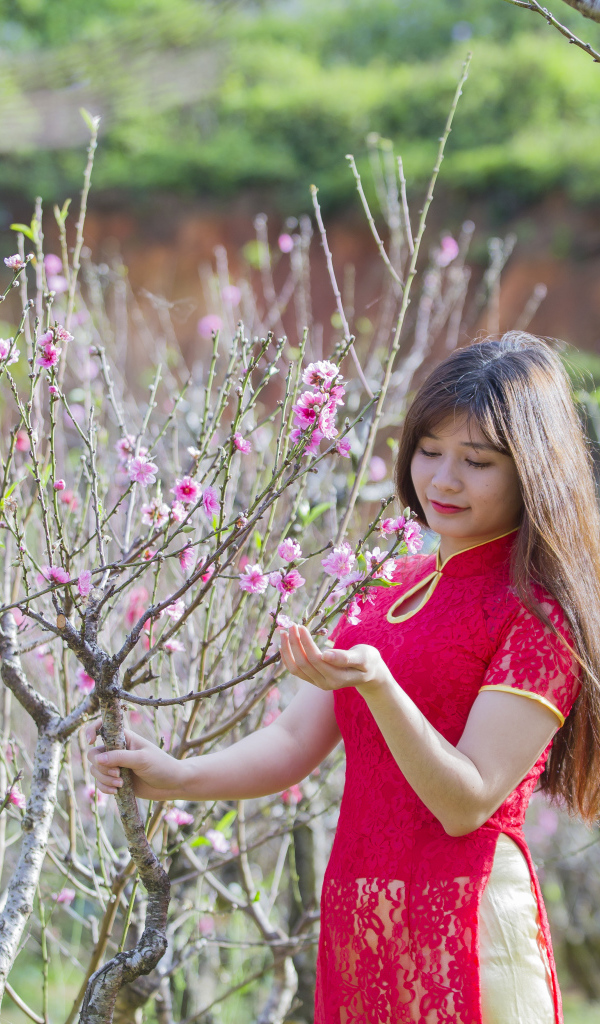 Красивая азиатка в красном наряде у дерева сакуры
