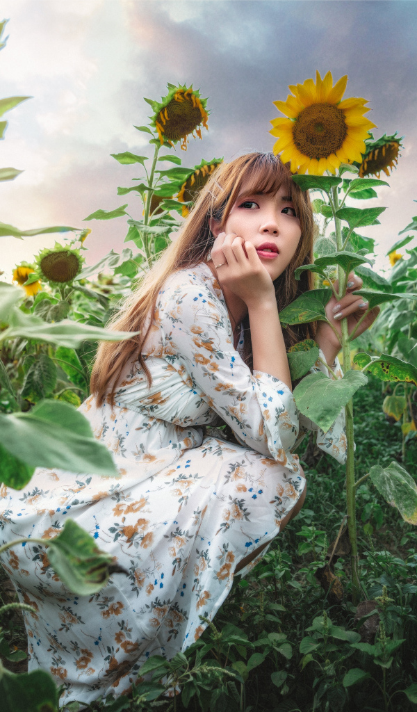 Красивая девушка азиатка на поле с подсолнухами 