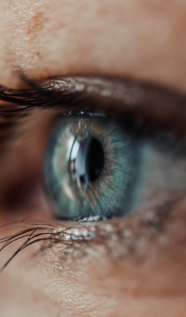Красивый голубой глаз девушки крупным планом