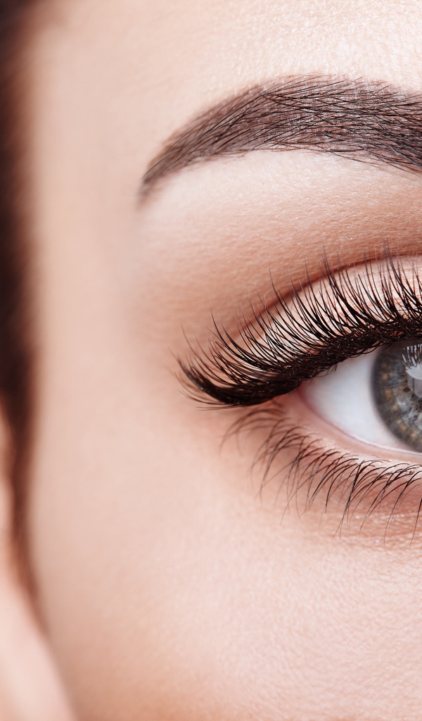 Красивый глаз девушки с длинными ресницами