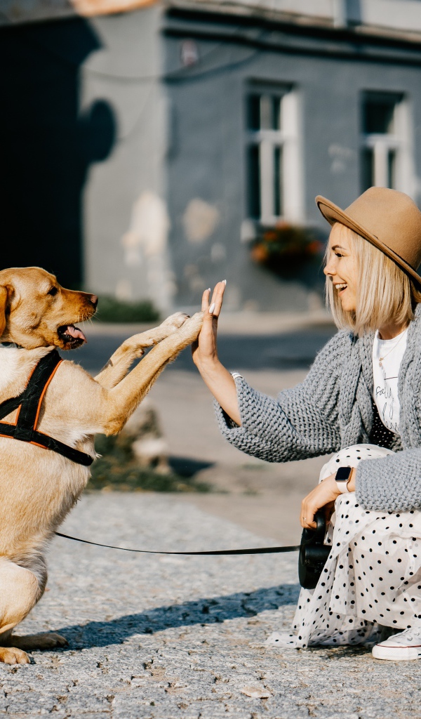 Красивая девушка играет с собакой 