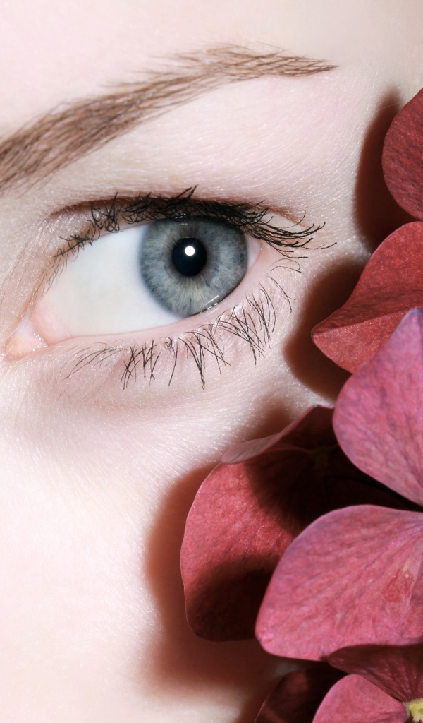 Глаз красивой девушки с красными цветами