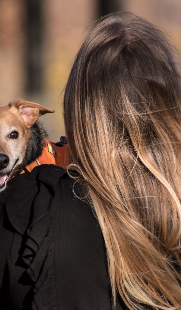 Девушка несет собаку на руках 