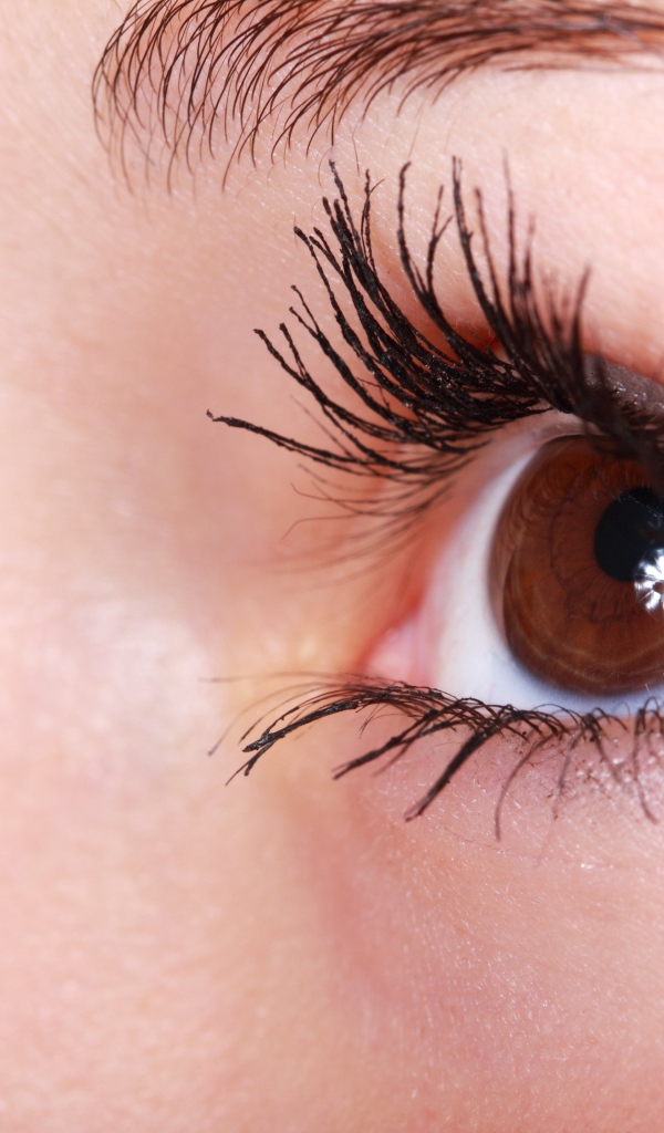 Карий глаз девушки с длинными ресницами