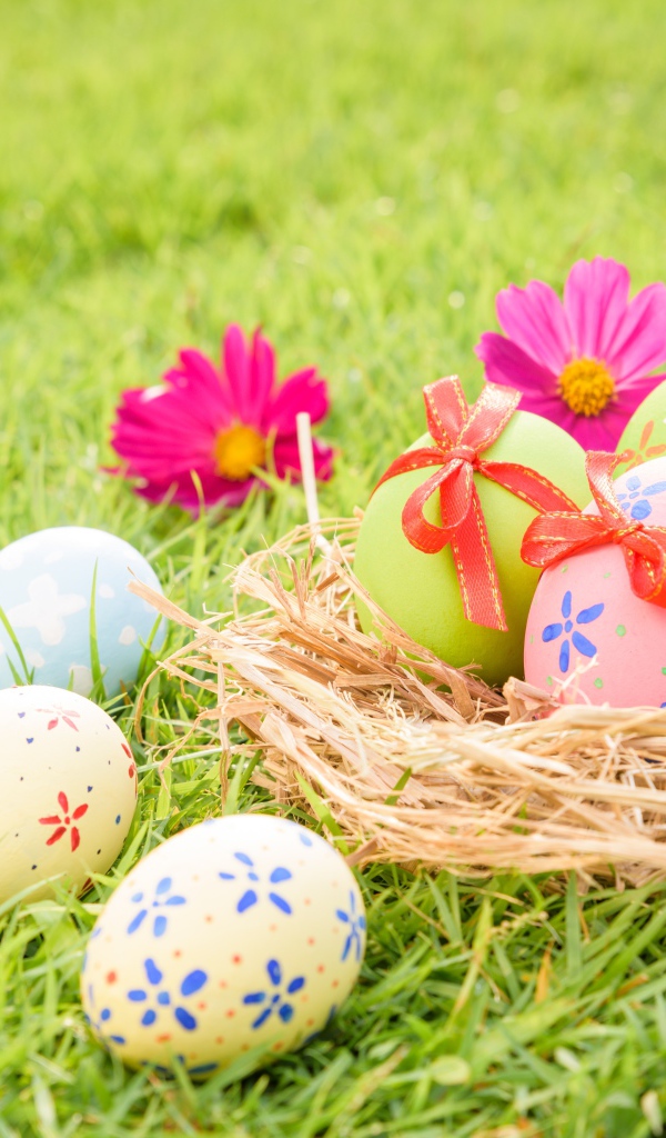 Разноцветные яйца в гнезде на зеленой траве на Пасху