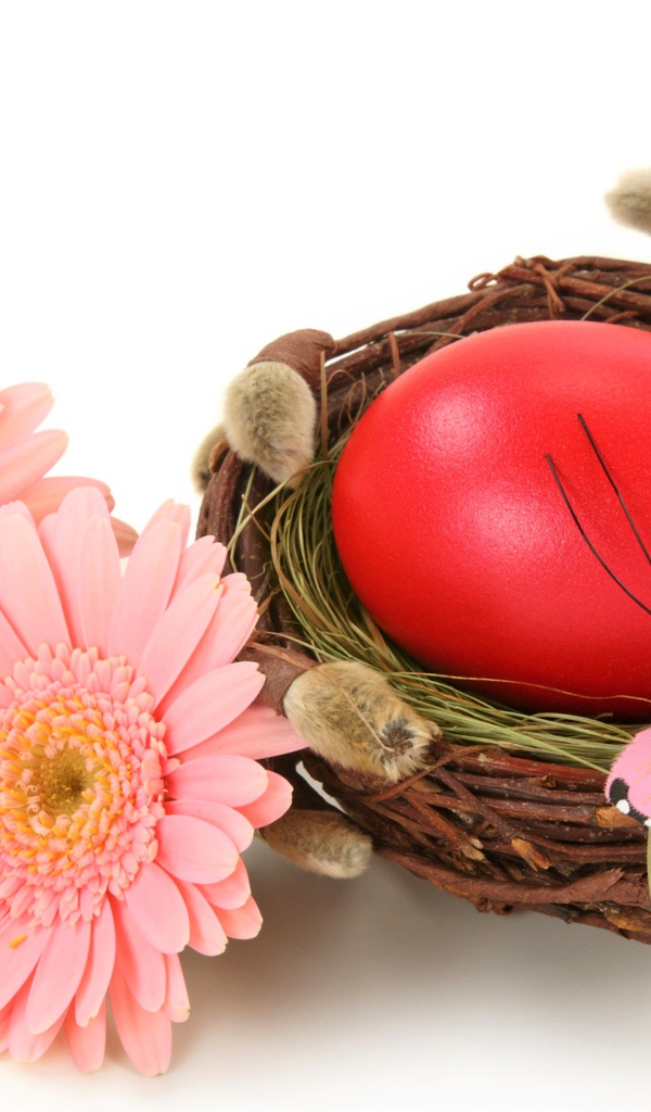 Яйцо в гнезде с розовыми герберами на белом фоне на Пасху