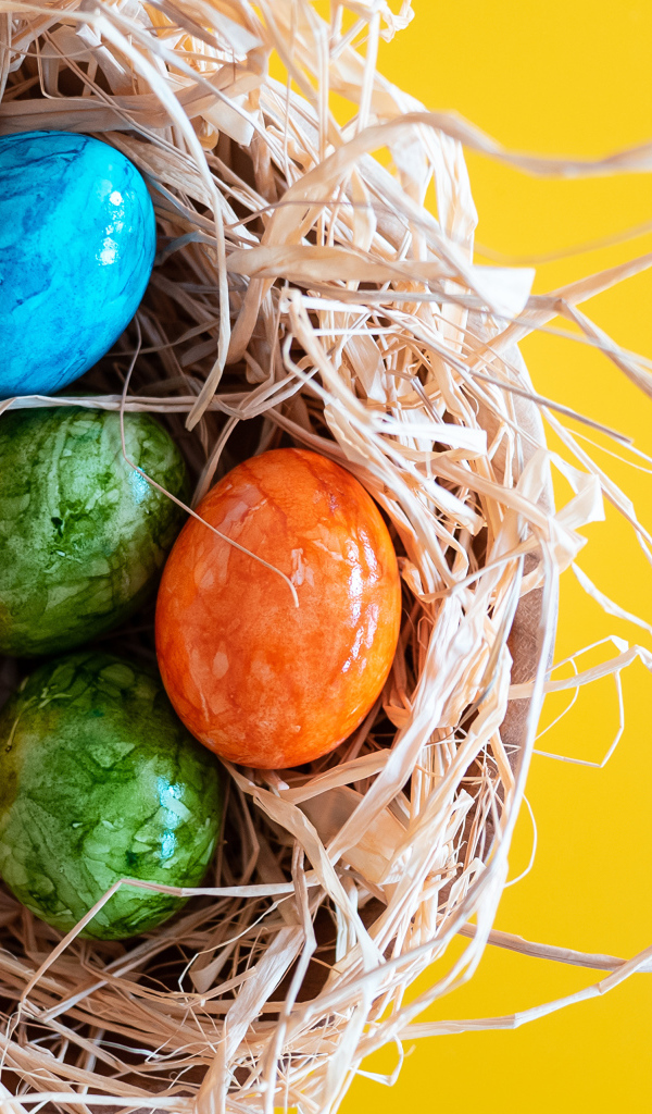 Разноцветные крашеные яйца в гнезде на Светлый праздник Пасха