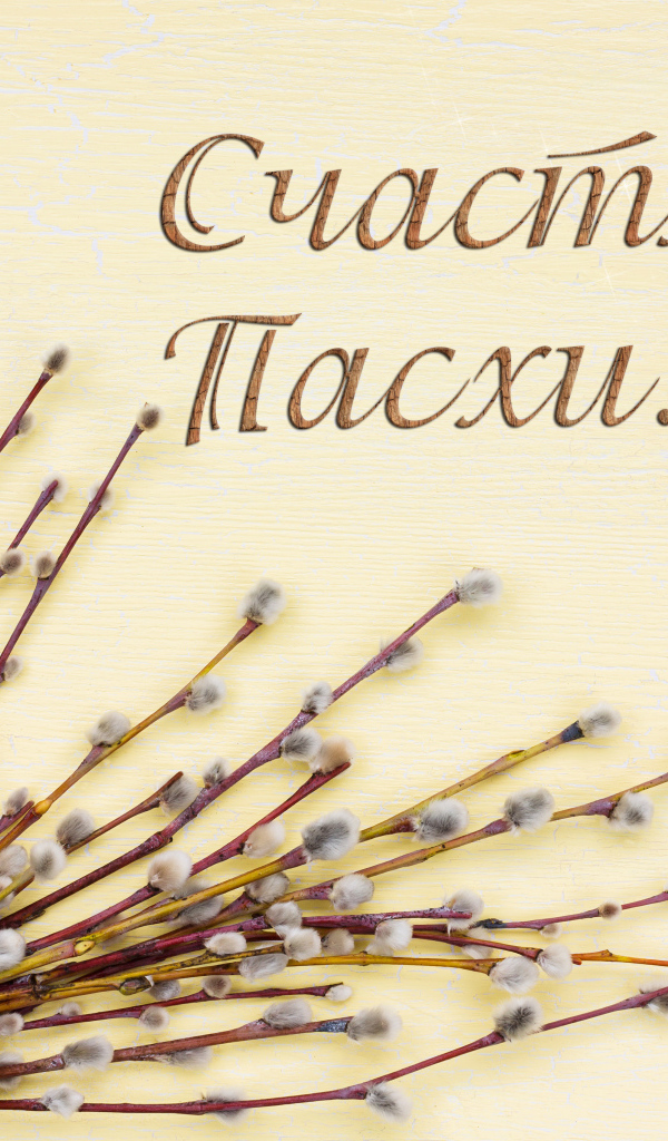 Ветки вербы и крашеные яйца с надписью Счастливой Пасхи