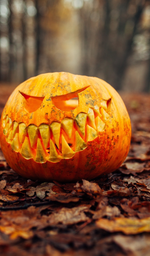 Злобная тыква в лесу на листве на праздник Хэллоуин