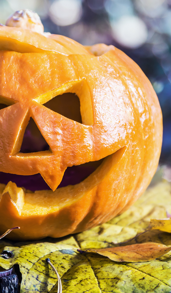 Тыква на Хэллоуин стоит на листке