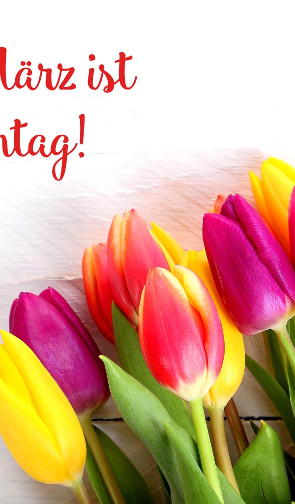 Красивый букет  тюльпанов на Международный женский день 8 марта