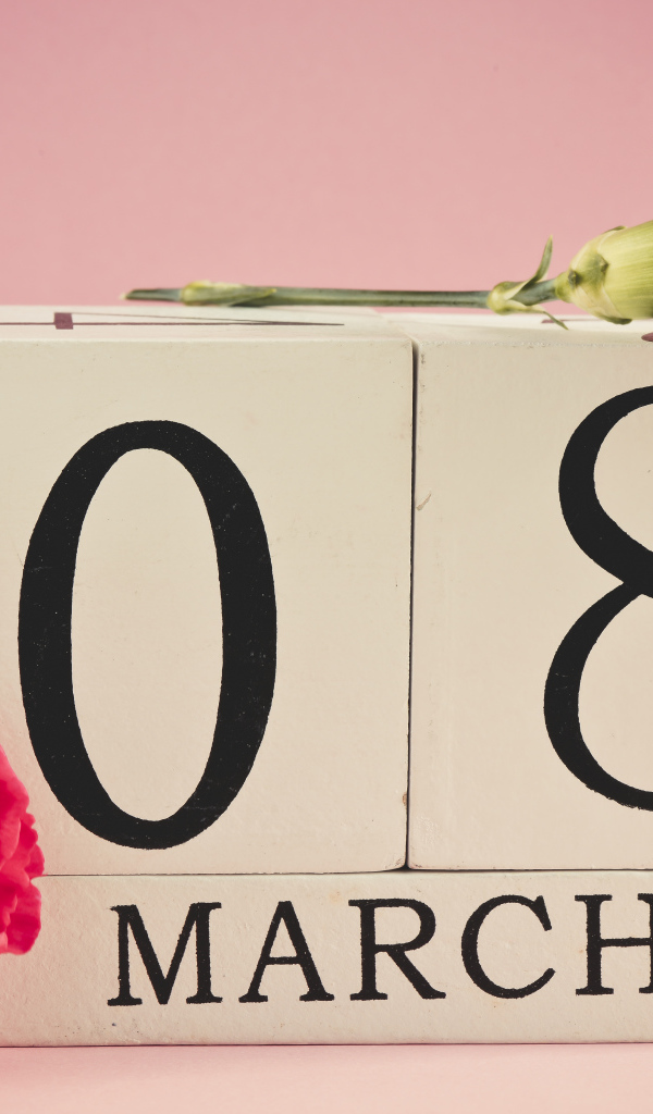 Розовые гвоздики в подарок на 8 марта