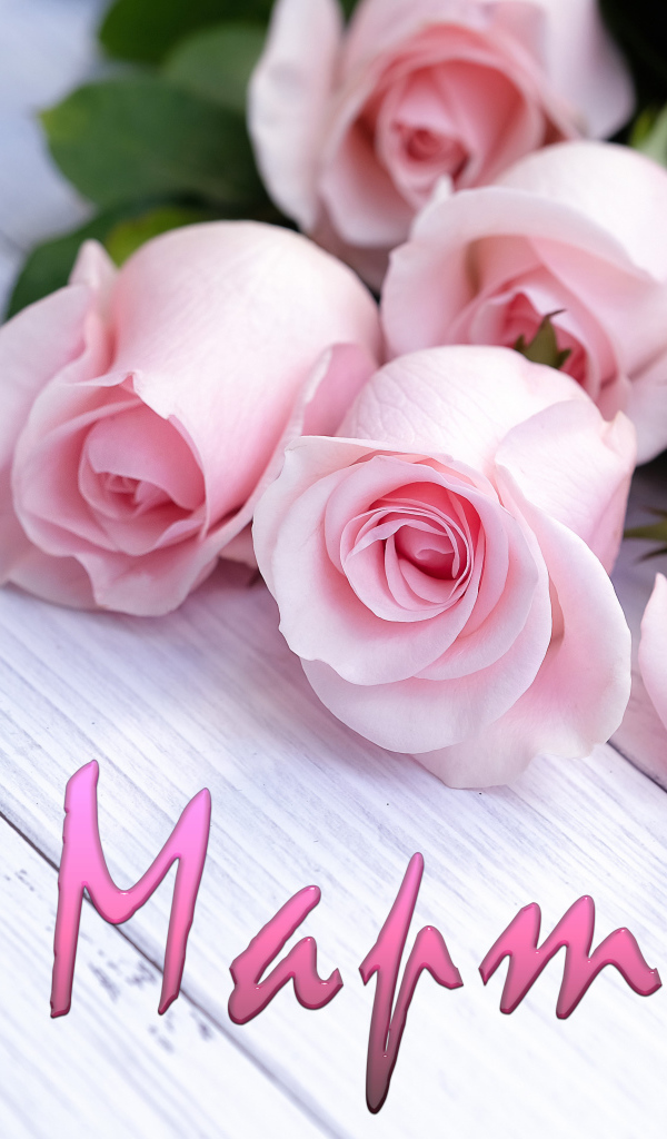 Открытка С 8 марта с букетом розовых роз 