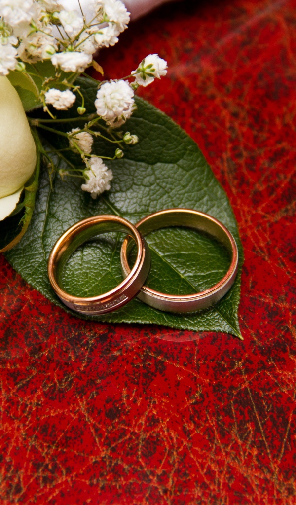 Золотые обручальные кольца на красном фоне