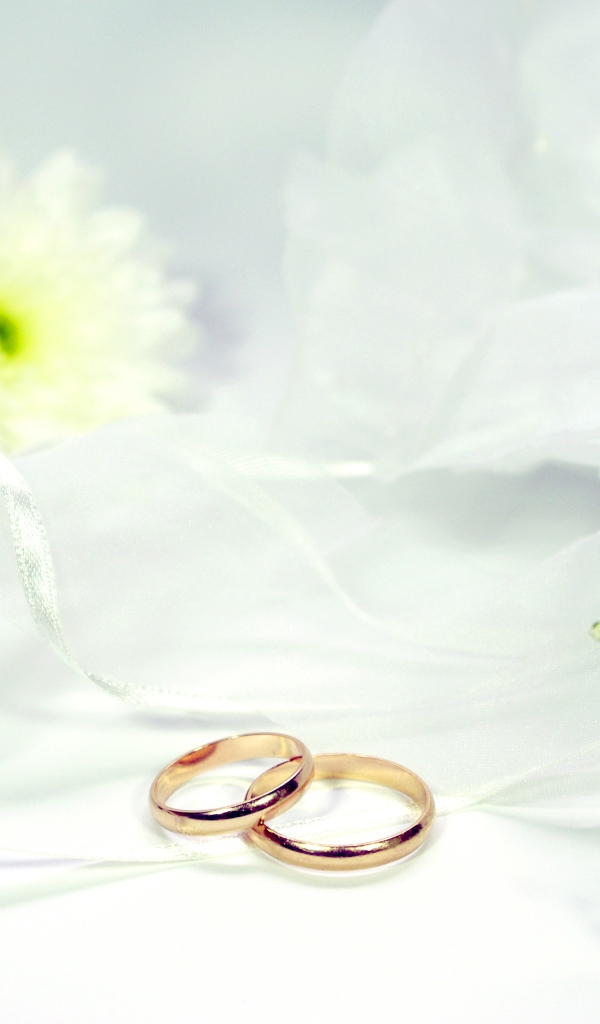 Два золотых обручальных кольца на белом фоне с цветами