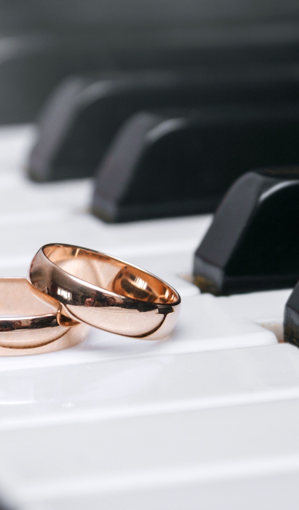 Два золотых обручальных кольца на клавишах рояля 