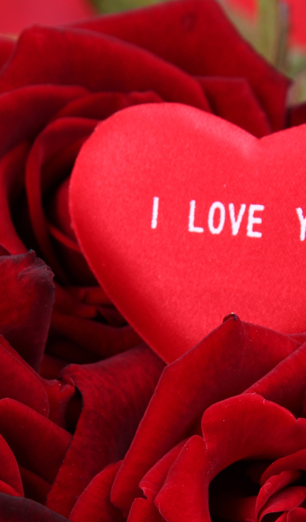 Маленькое сердце лежит на букете красных роз 