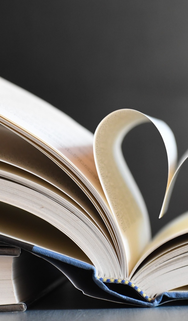 Сердце из страниц книги на сером фоне