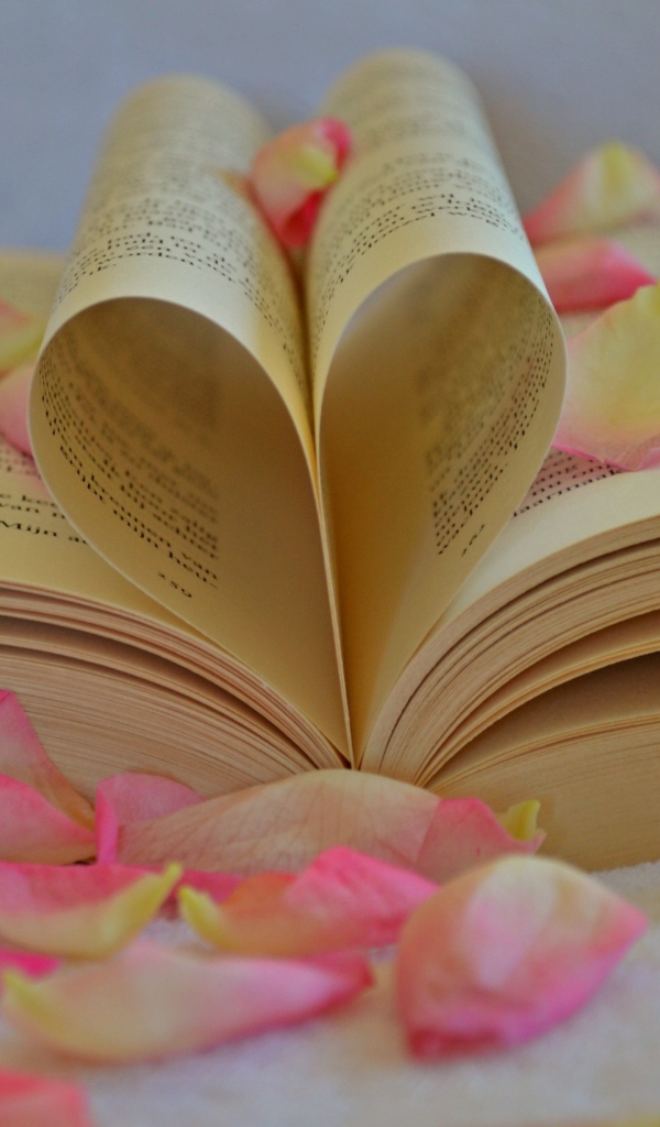 Сердце из листов книги с лепестками розы 
