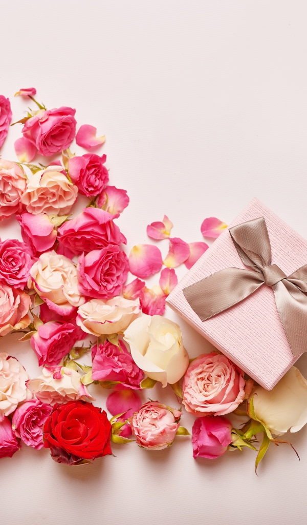 Сердце из цветов розы на розовом фоне с подарком